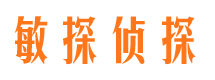 靖宇市私家侦探公司